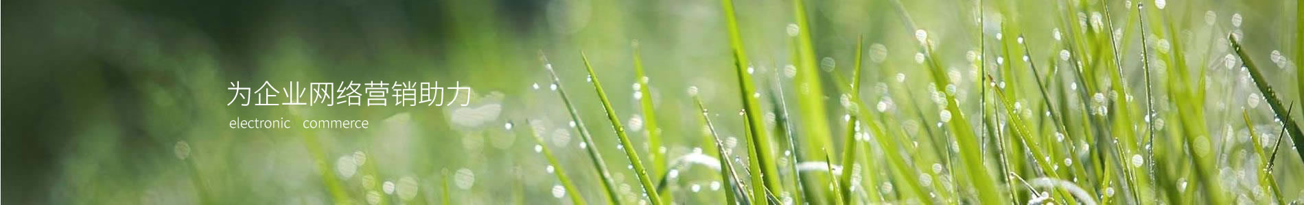 ܽ޹˾